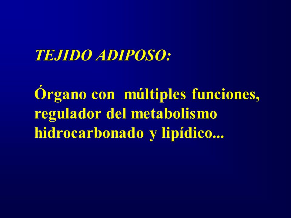 TEJIDO ADIPOSO: Órgano con múltiples funciones, regulador del metabolismo.