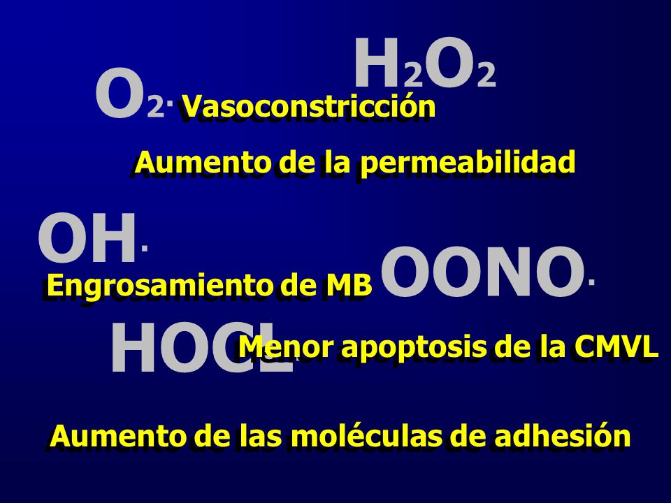 H2O2 O2· OH· OONO· HOCL· Vasoconstricción Aumento de la permeabilidad