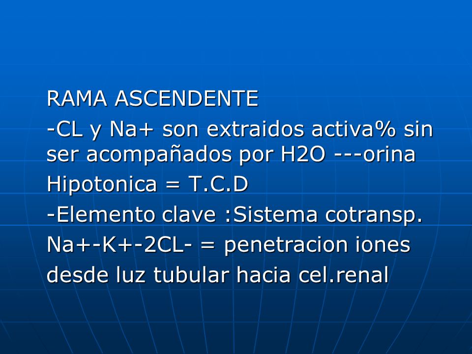 RAMA ASCENDENTE -CL y Na+ son extraidos activa% sin ser acompañados por H2O ---orina. Hipotonica = T.C.D.