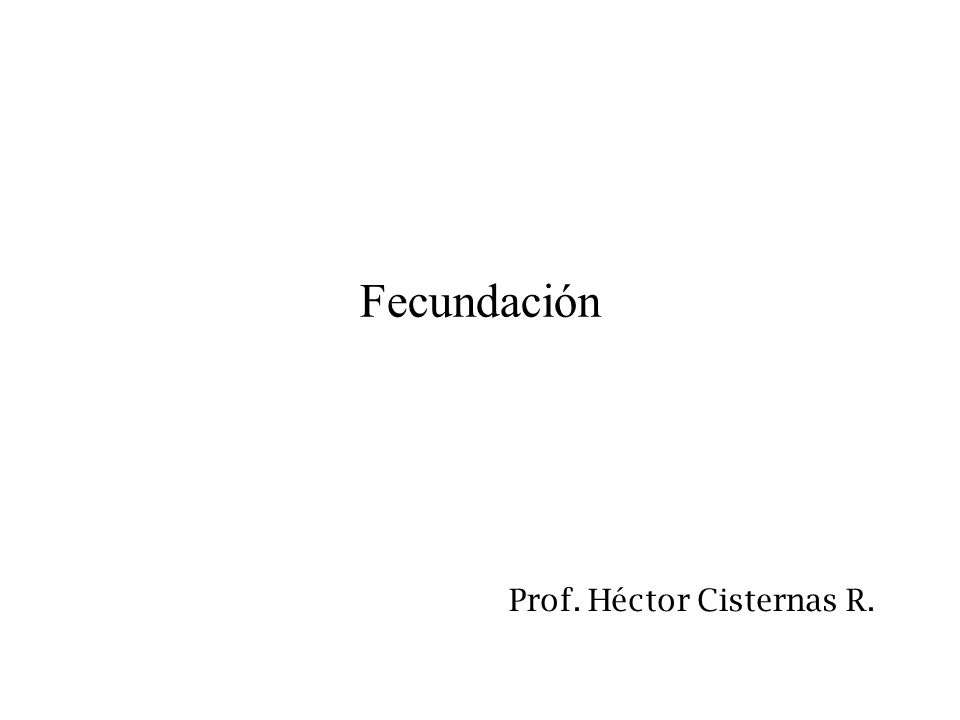 Prof. Héctor Cisternas R.