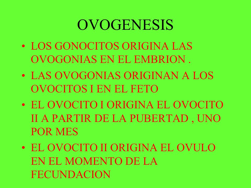 OVOGENESIS LOS GONOCITOS ORIGINA LAS OVOGONIAS EN EL EMBRION .