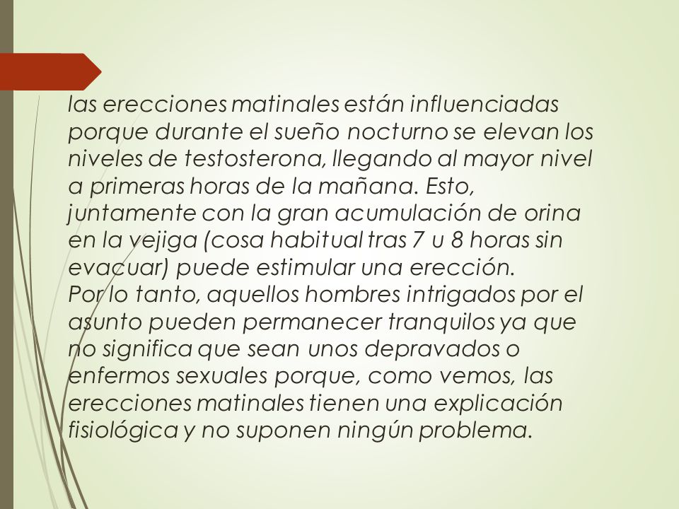 las erecciones matinales están influenciadas porque durante el sueño nocturno se elevan los niveles de testosterona, llegando al mayor nivel a primeras horas de la mañana. Esto, juntamente con la gran acumulación de orina en la vejiga (cosa habitual tras 7 u 8 horas sin evacuar) puede estimular una erección.