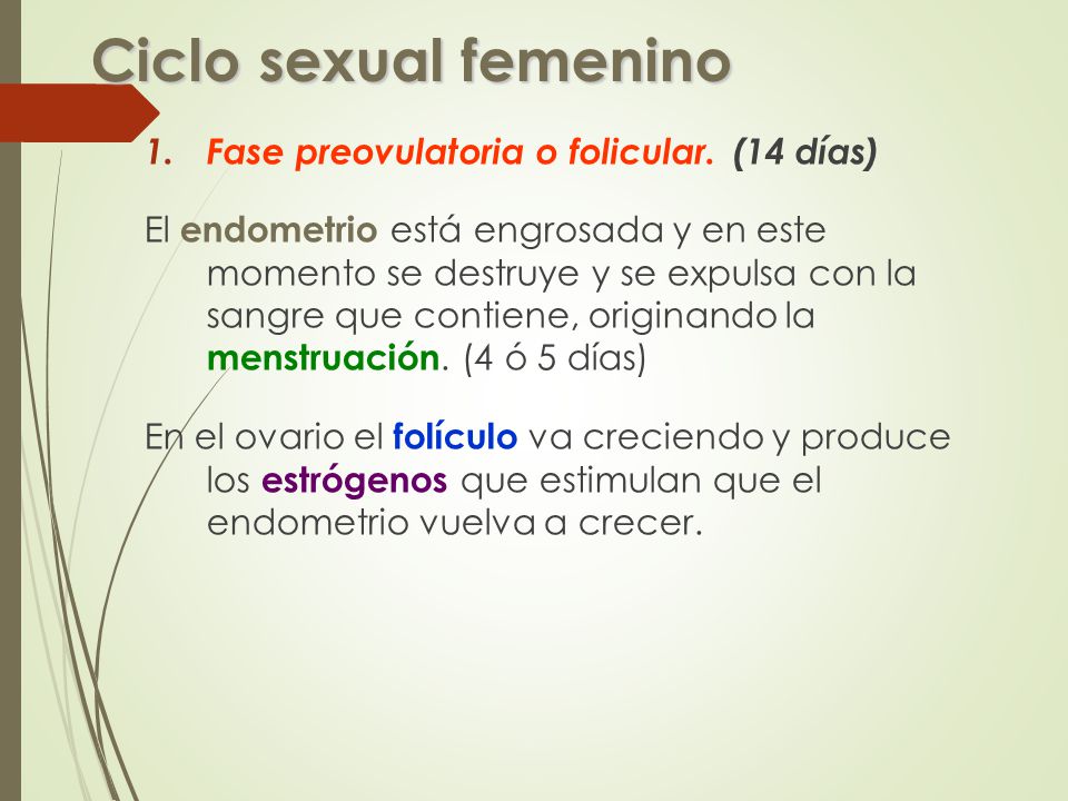 Ciclo sexual femenino Fase preovulatoria o folicular. (14 días)