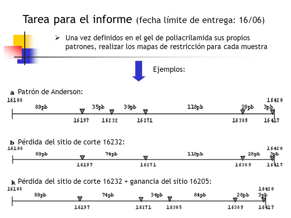 Tarea para el informe (fecha límite de entrega: 16/06)