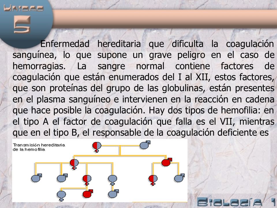 Enfermedad hereditaria que dificulta la coagulación sanguínea, lo que supone un grave peligro en el caso de hemorragias.