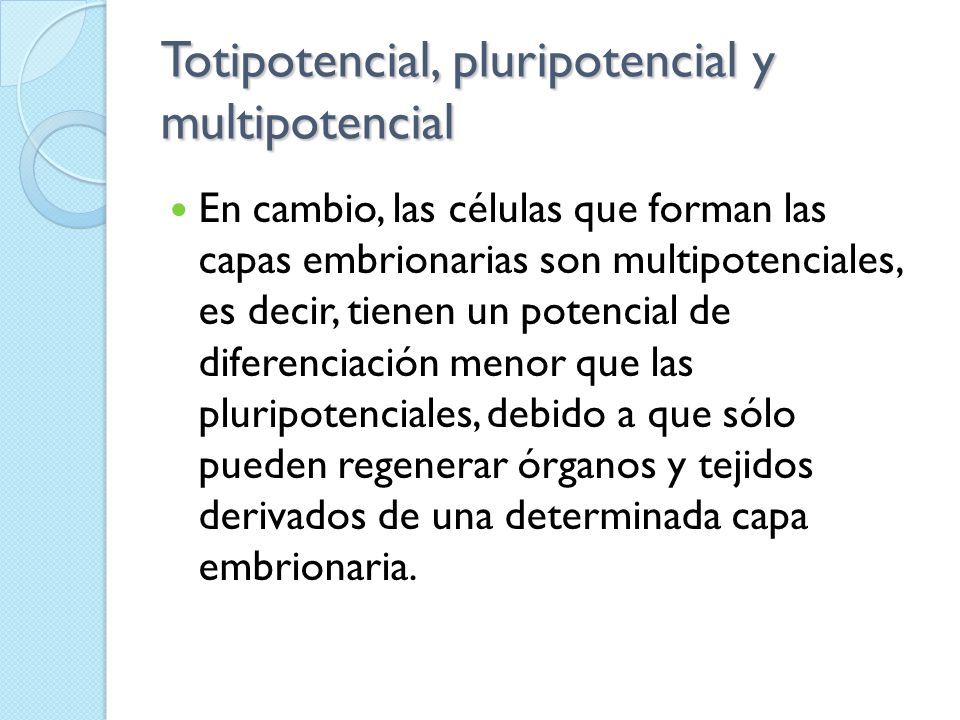 Totipotencial, pluripotencial y multipotencial