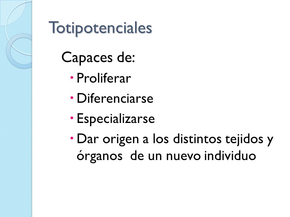 Totipotenciales Capaces de: Proliferar Diferenciarse Especializarse