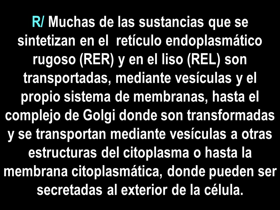 R/ Muchas de las sustancias que se sintetizan en el retículo endoplasmático rugoso (RER) y en el liso (REL) son transportadas, mediante vesículas y el propio sistema de membranas, hasta el complejo de Golgi donde son transformadas y se transportan mediante vesículas a otras estructuras del citoplasma o hasta la membrana citoplasmática, donde pueden ser secretadas al exterior de la célula.
