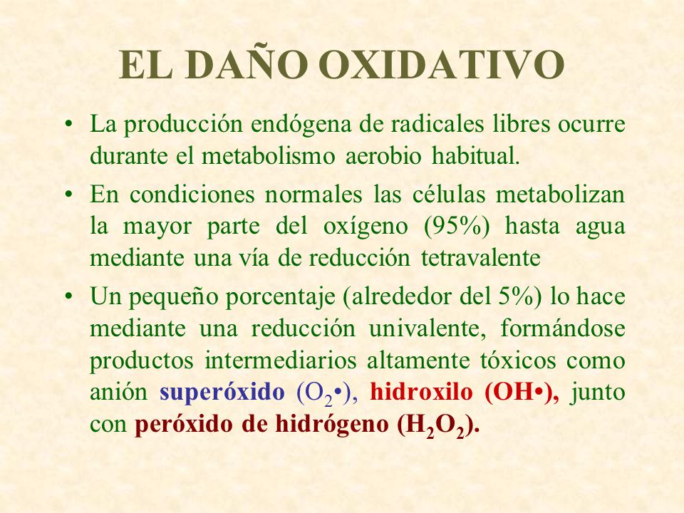 EL DAÑO OXIDATIVO La producción endógena de radicales libres ocurre durante el metabolismo aerobio habitual.