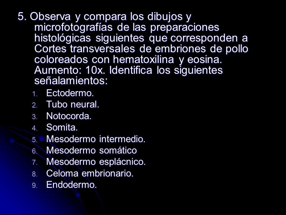 5. Observa y compara los dibujos y microfotografías de las preparaciones histológicas siguientes que corresponden a Cortes transversales de embriones de pollo coloreados con hematoxilina y eosina. Aumento: 10x. Identifica los siguientes señalamientos: