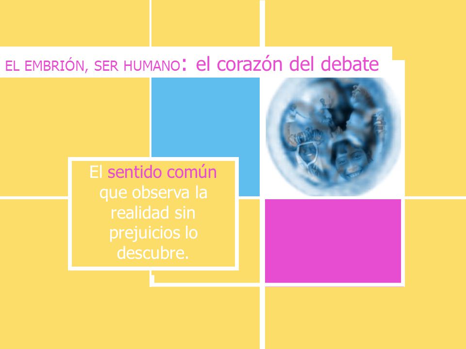 El sentido común que observa la realidad sin prejuicios lo descubre.
