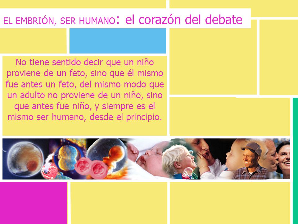 EL EMBRIÓN, SER HUMANO: el corazón del debate