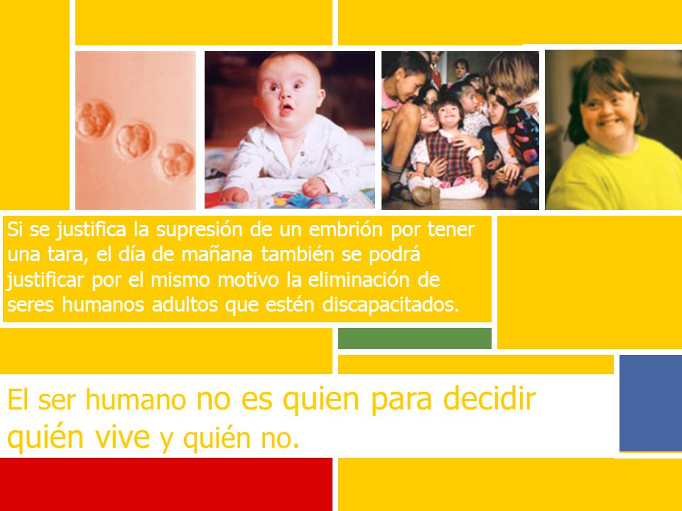 El ser humano no es quien para decidir quién vive y quién no.