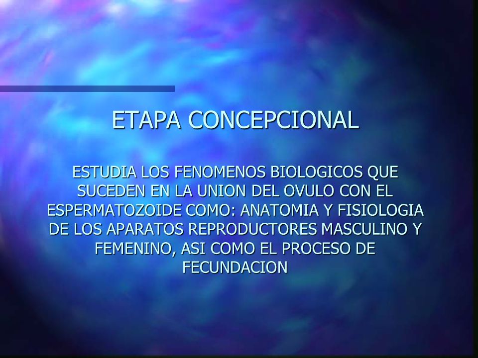ETAPA CONCEPCIONAL ESTUDIA LOS FENOMENOS BIOLOGICOS QUE SUCEDEN EN LA UNION DEL OVULO CON EL ESPERMATOZOIDE COMO: ANATOMIA Y FISIOLOGIA DE LOS APARATOS REPRODUCTORES MASCULINO Y FEMENINO, ASI COMO EL PROCESO DE FECUNDACION