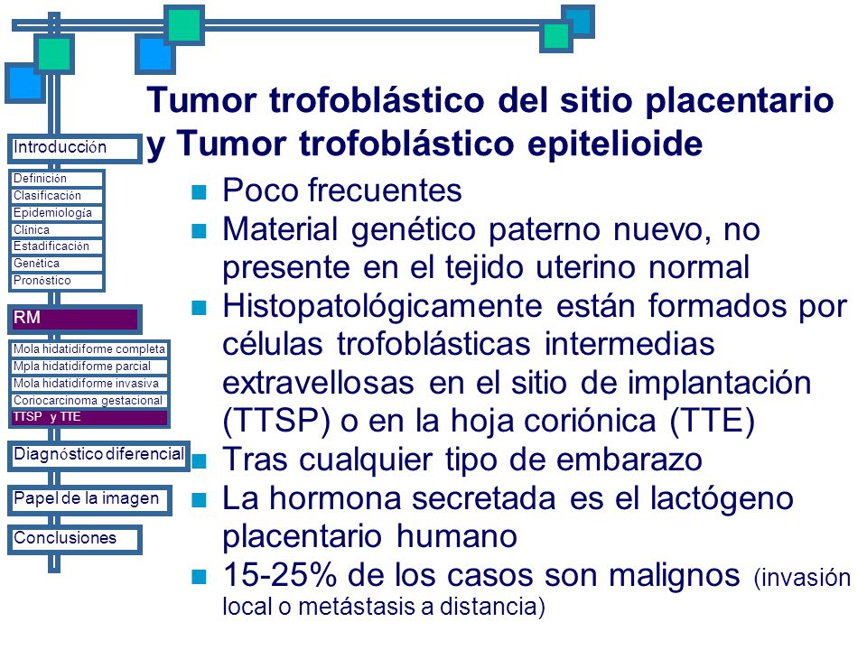 Tumor trofoblástico del sitio placentario y Tumor trofoblástico epitelioide