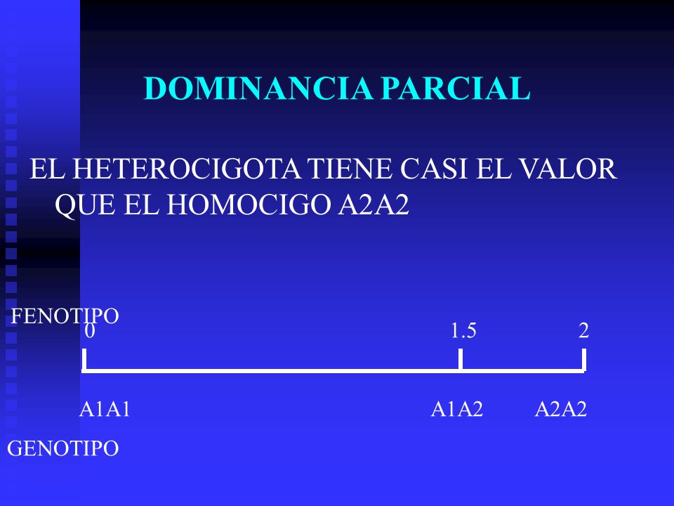 DOMINANCIA PARCIAL EL HETEROCIGOTA TIENE CASI EL VALOR QUE EL HOMOCIGO A2A2. FENOTIPO.