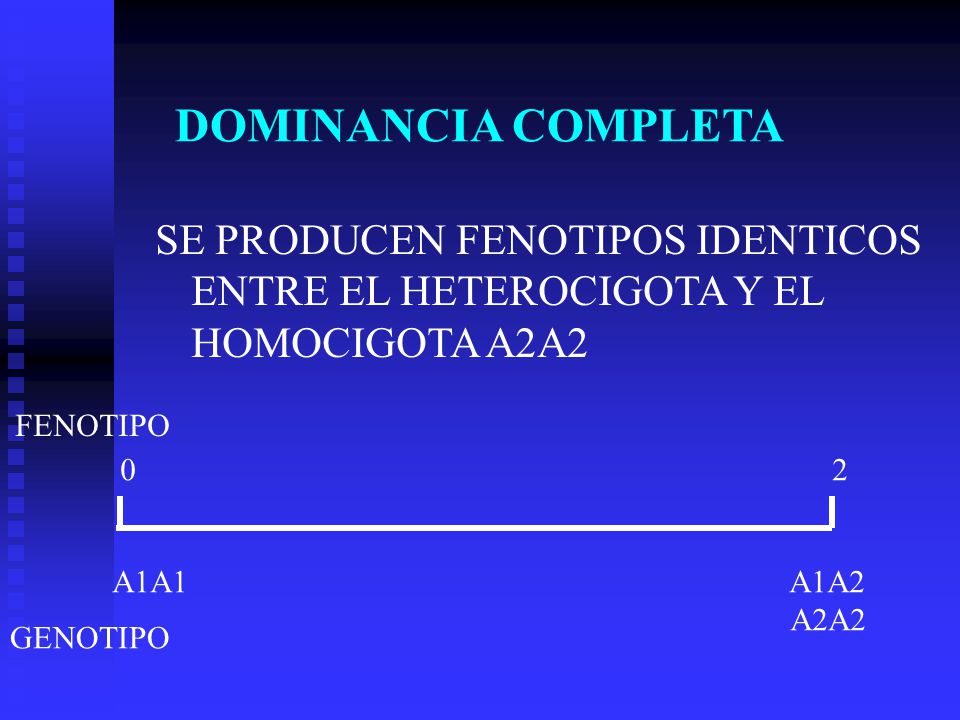 DOMINANCIA COMPLETA SE PRODUCEN FENOTIPOS IDENTICOS ENTRE EL HETEROCIGOTA Y EL HOMOCIGOTA A2A2. FENOTIPO.