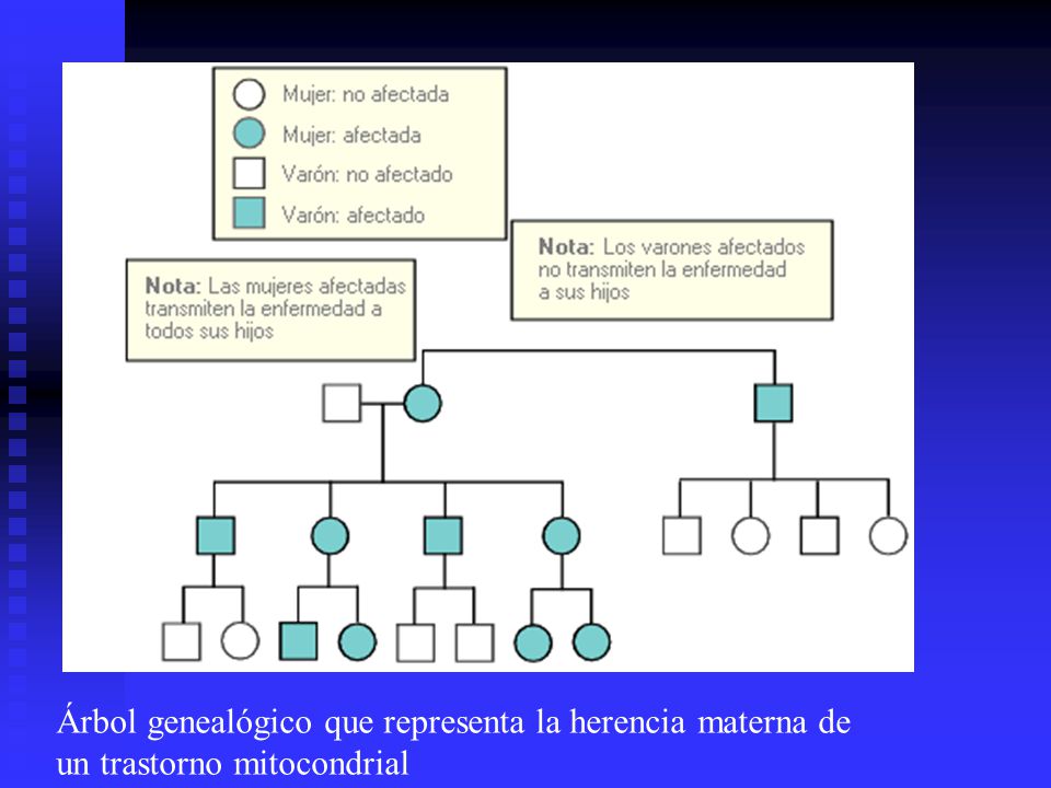 Árbol genealógico que representa la herencia materna de un trastorno mitocondrial