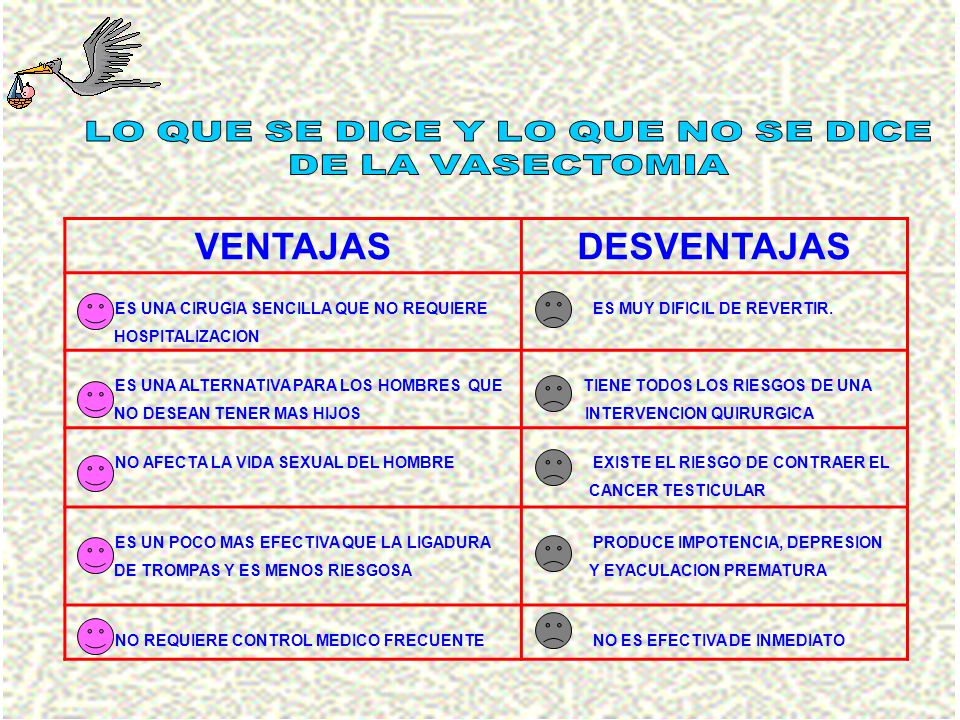 No Solo Tengo Hormonas Tambien Tengo Neuronas Ppt Video Online Descargar