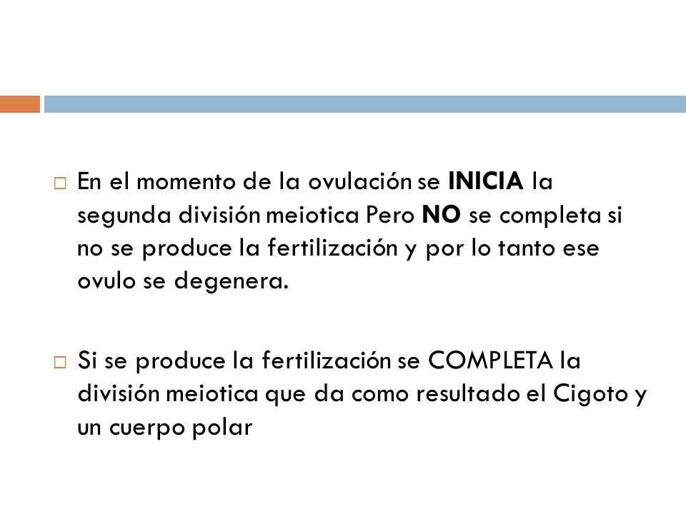 En el momento de la ovulación se INICIA la segunda división meiotica Pero NO se completa si no se produce la fertilización y por lo tanto ese ovulo se degenera.
