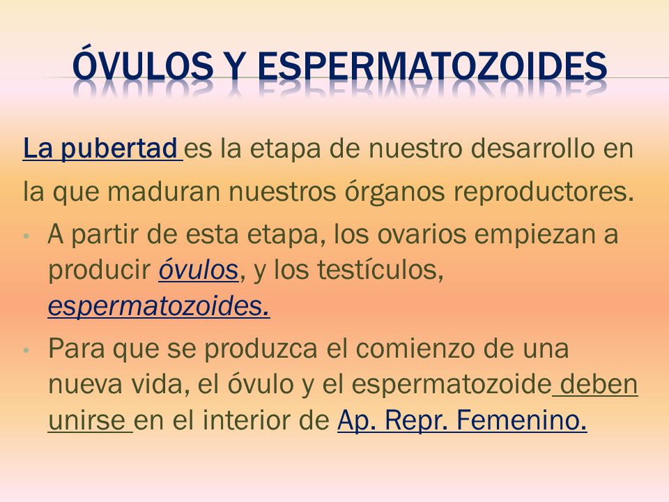 ÓVULOS Y ESPERMATOZOIDES