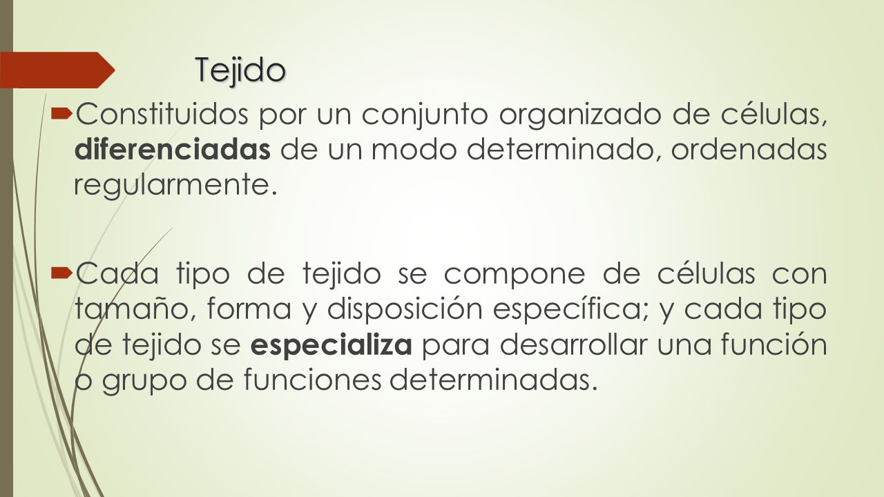 Tejido Constituidos por un conjunto organizado de células, diferenciadas de un modo determinado, ordenadas regularmente.
