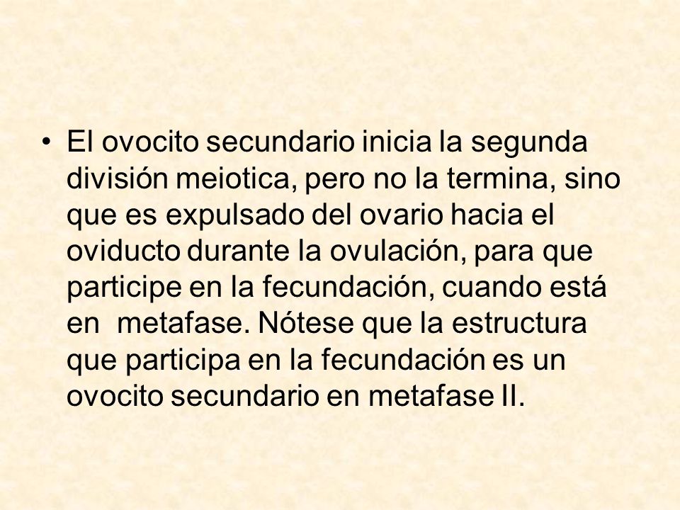 El ovocito secundario inicia la segunda división meiotica, pero no la termina, sino que es expulsado del ovario hacia el oviducto durante la ovulación, para que participe en la fecundación, cuando está en metafase.