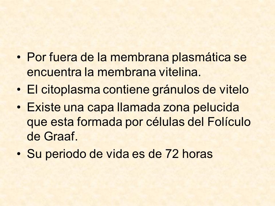 Por fuera de la membrana plasmática se encuentra la membrana vitelina.