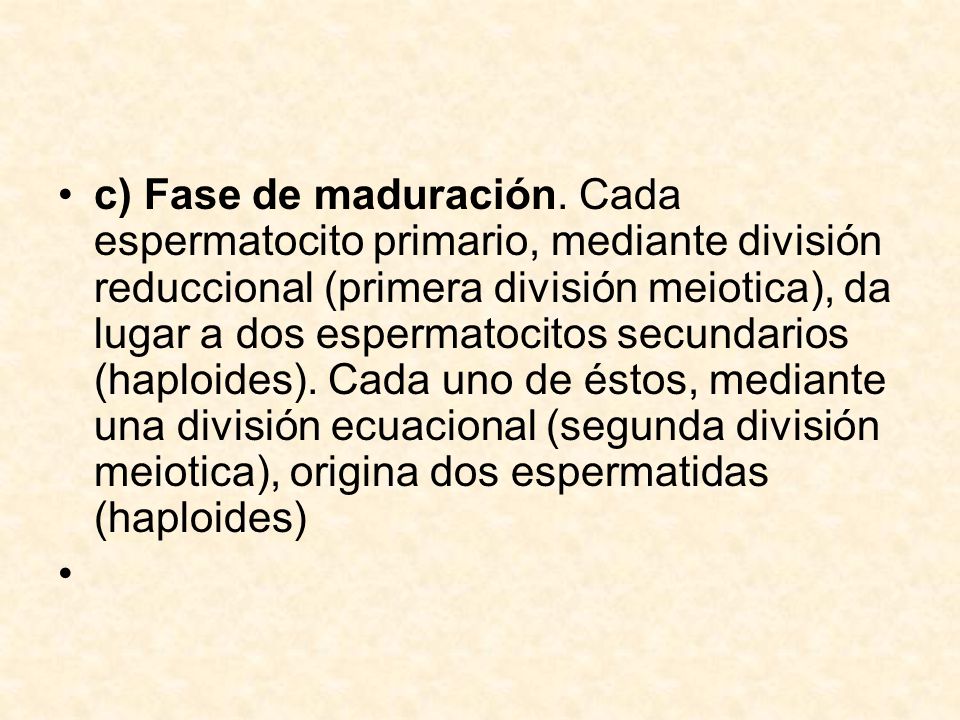 c) Fase de maduración. Cada espermatocito primario, mediante división reduccional (primera división meiotica), da lugar a dos espermatocitos secundarios (haploides). Cada uno de éstos, mediante una división ecuacional (segunda división meiotica), origina dos espermatidas (haploides)