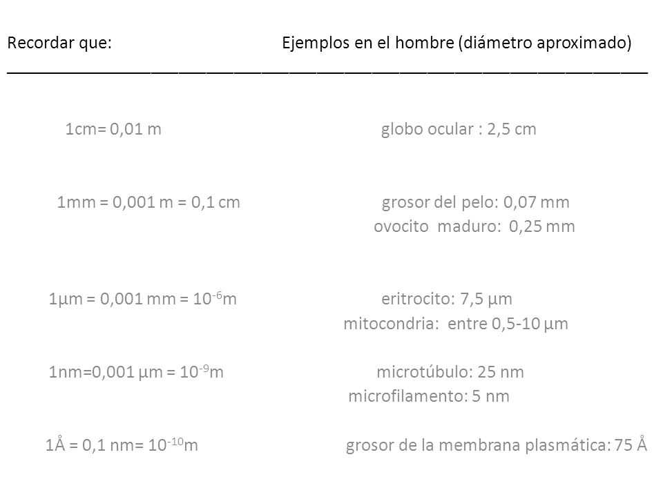 1mm = 0,001 m = 0,1 cm grosor del pelo: 0,07 mm