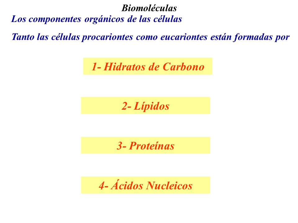 1- Hidratos de Carbono 2- Lípidos 3- Proteínas 4- Ácidos Nucleicos