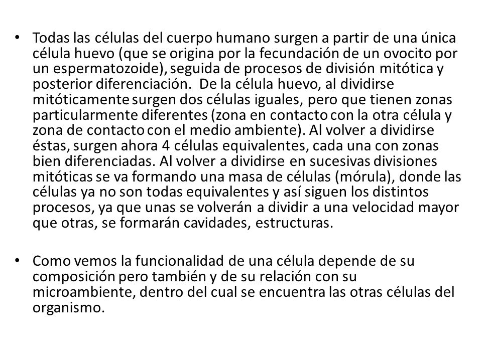 Todas las células del cuerpo humano surgen a partir de una única célula huevo (que se origina por la fecundación de un ovocito por un espermatozoide), seguida de procesos de división mitótica y posterior diferenciación. De la célula huevo, al dividirse mitóticamente surgen dos células iguales, pero que tienen zonas particularmente diferentes (zona en contacto con la otra célula y zona de contacto con el medio ambiente). Al volver a dividirse éstas, surgen ahora 4 células equivalentes, cada una con zonas bien diferenciadas. Al volver a dividirse en sucesivas divisiones mitóticas se va formando una masa de células (mórula), donde las células ya no son todas equivalentes y así siguen los distintos procesos, ya que unas se volverán a dividir a una velocidad mayor que otras, se formarán cavidades, estructuras.