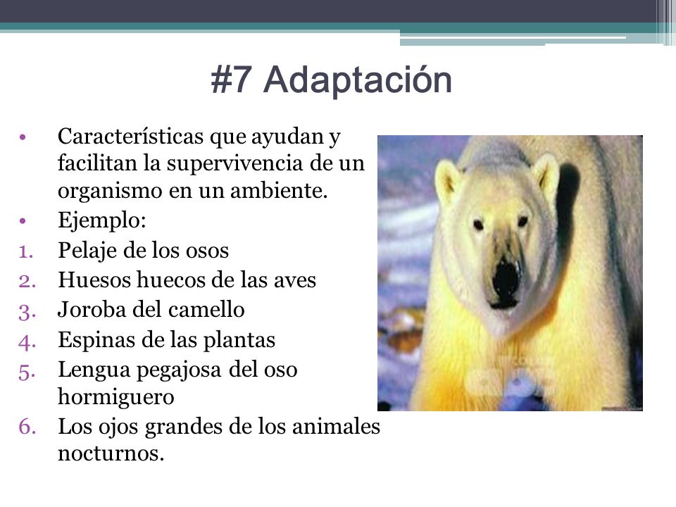 #7 Adaptación Características que ayudan y facilitan la supervivencia de un organismo en un ambiente.