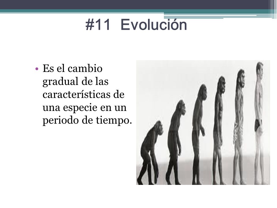 #11 Evolución Es el cambio gradual de las características de una especie en un periodo de tiempo.