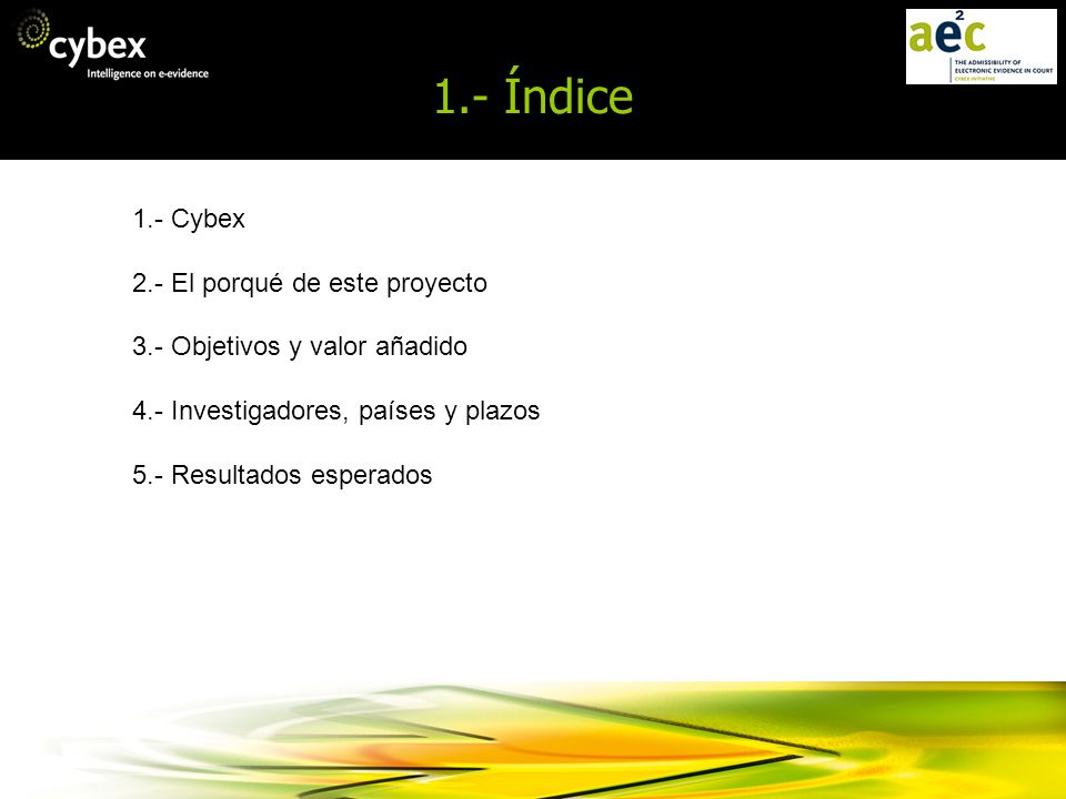 1.- Índice 1.- Cybex 2.- El porqué de este proyecto