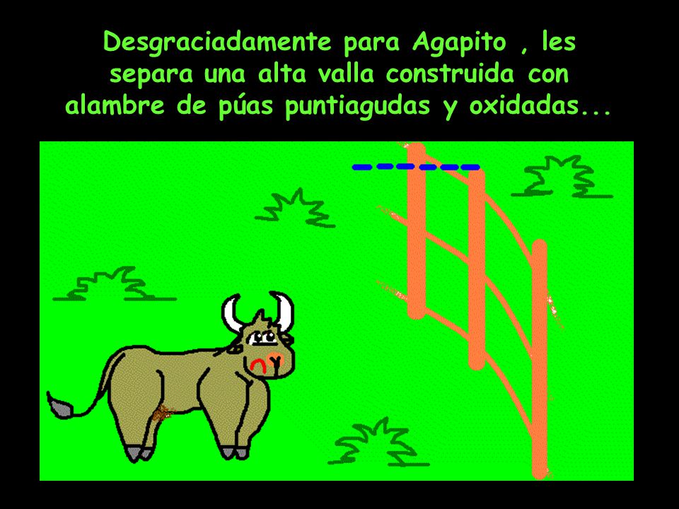 Desgraciadamente para Agapito , les separa una alta valla construida con alambre de púas puntiagudas y oxidadas...