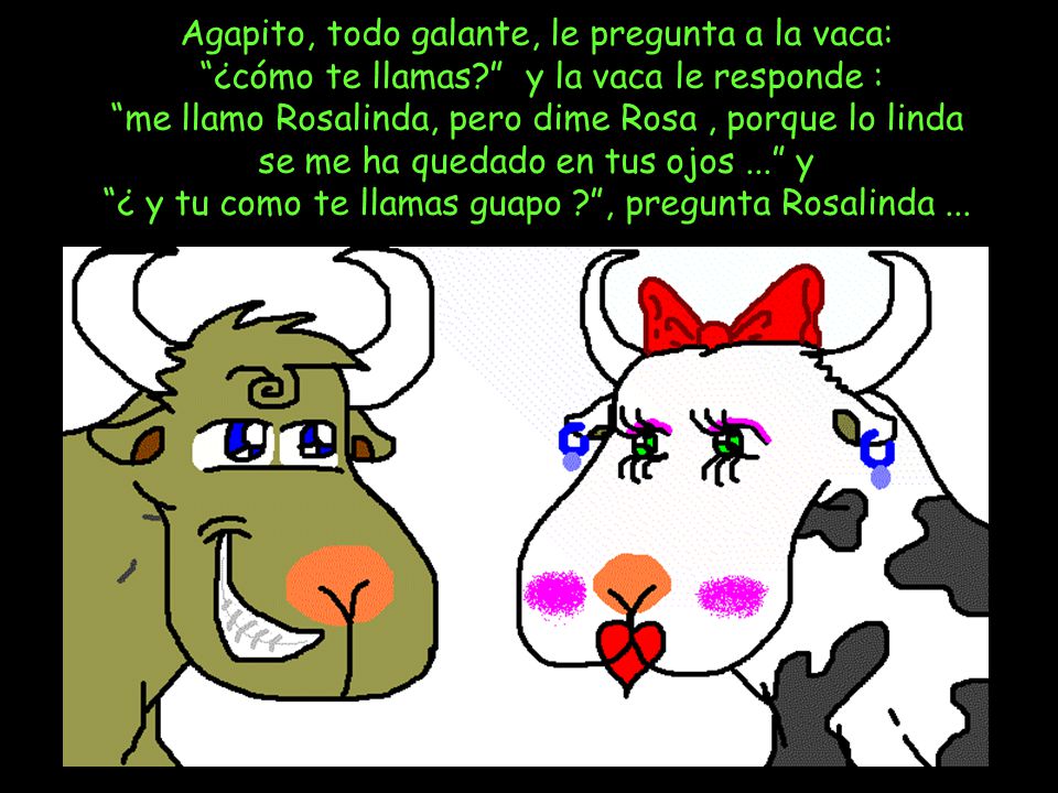 Agapito, todo galante, le pregunta a la vaca: ¿cómo te llamas