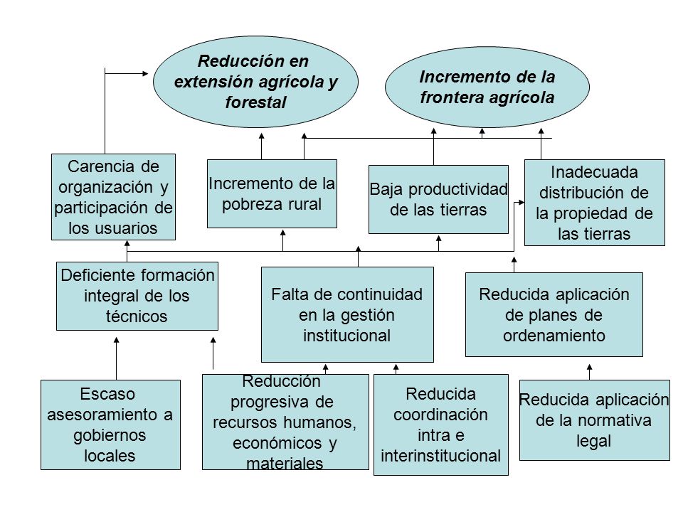 Reducción en extensión agrícola y. forestal. Incremento de la. frontera agrícola. Carencia de. organización y.