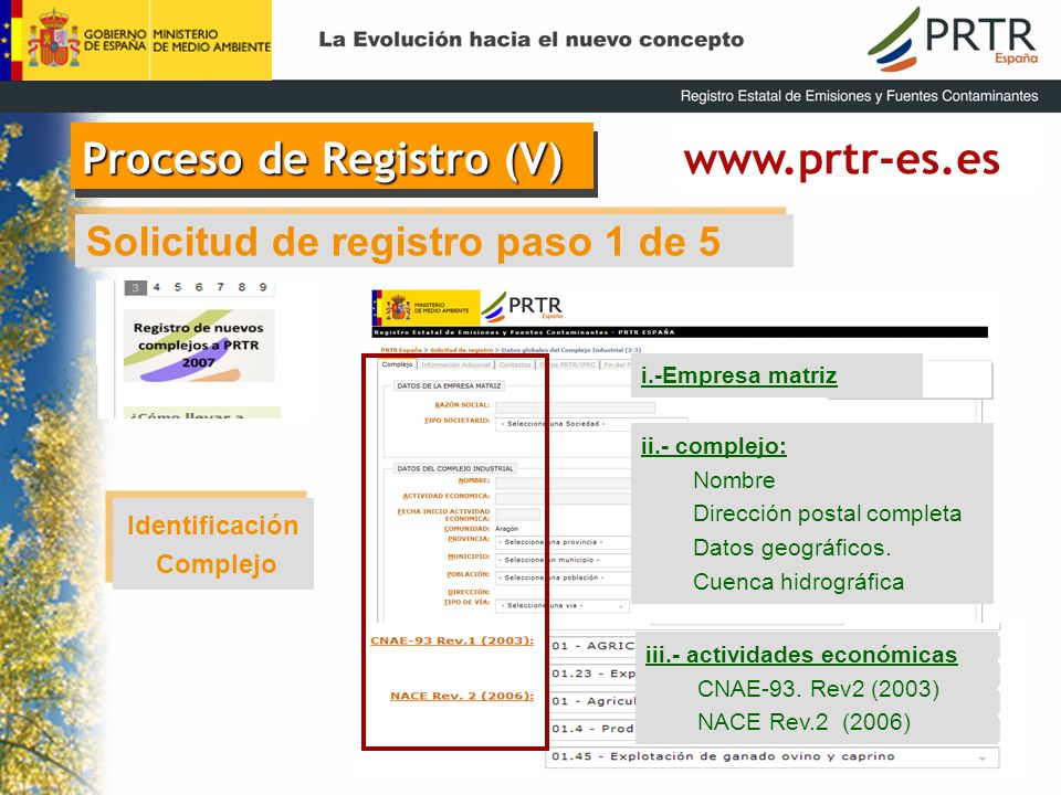 Proceso de Registro (V)