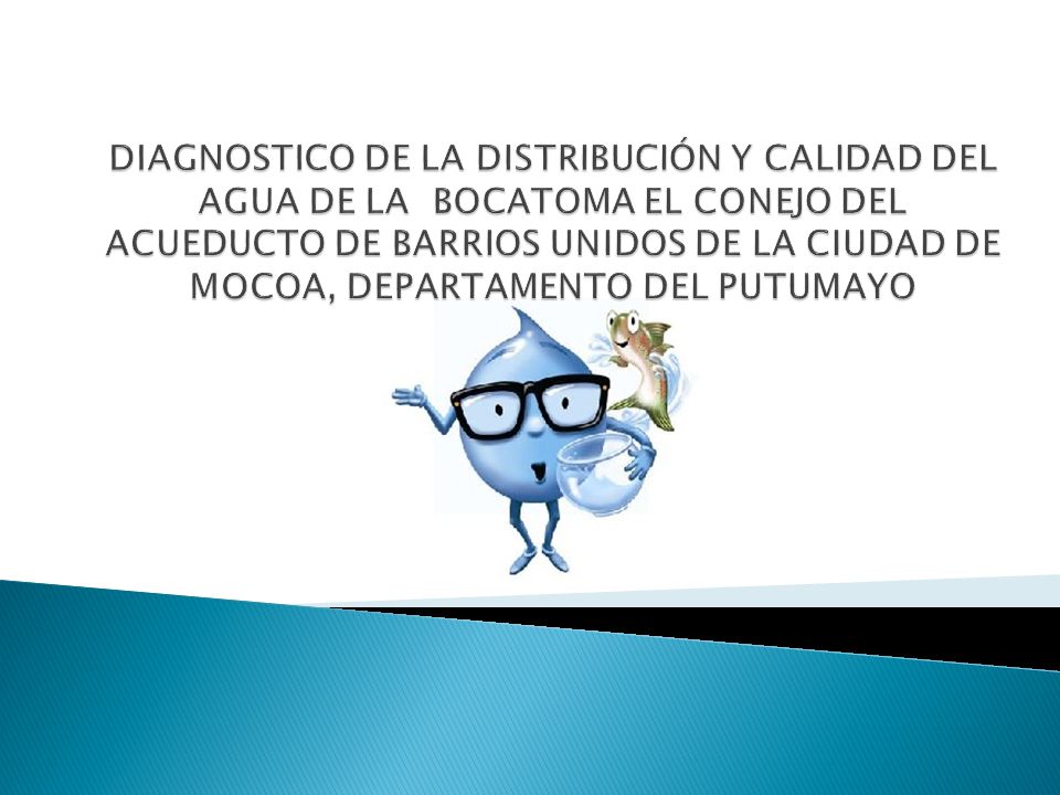 DIAGNOSTICO DE LA DISTRIBUCIÓN Y CALIDAD DEL AGUA DE LA BOCATOMA EL CONEJO DEL ACUEDUCTO DE BARRIOS UNIDOS DE LA CIUDAD DE MOCOA, DEPARTAMENTO DEL PUTUMAYO
