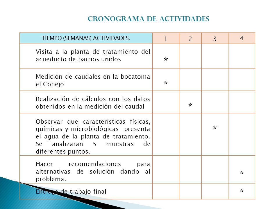 TIEMPO (SEMANAS) ACTIVIDADES.
