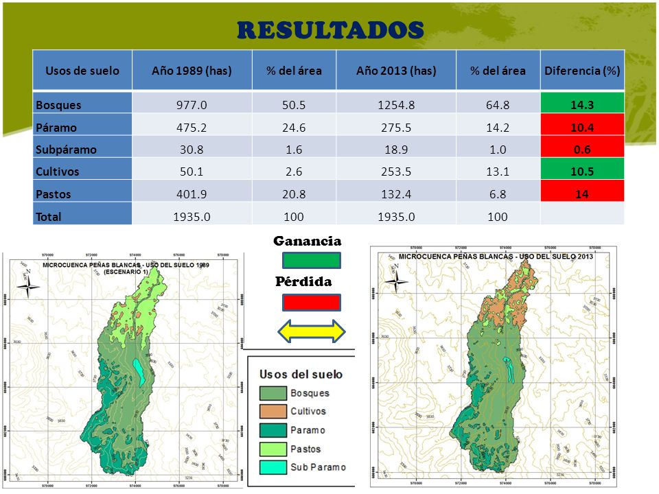 RESULTADOS Ganancia Pérdida Usos de suelo Año 1989 (has) % del área