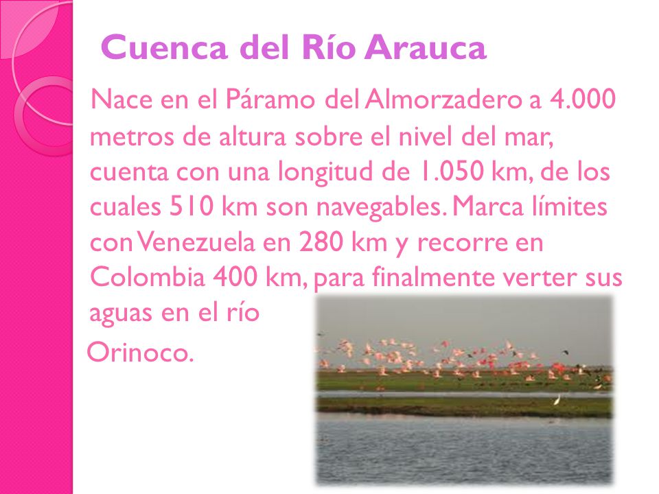 Cuenca del Río Arauca