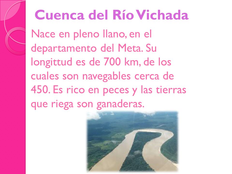 Cuenca del Río Vichada