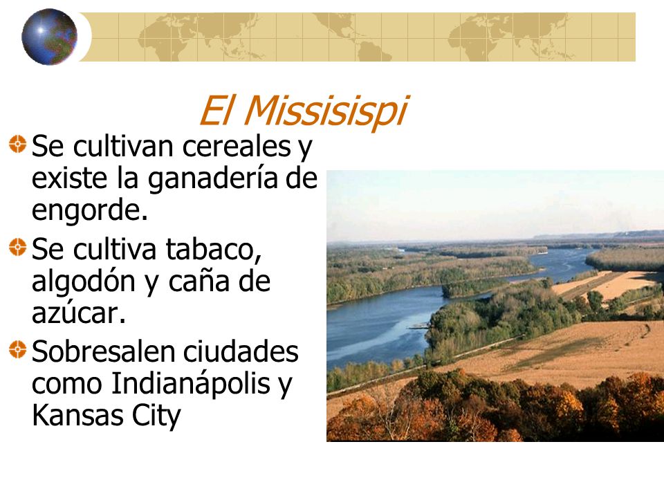El Missisispi Se cultivan cereales y existe la ganadería de engorde.