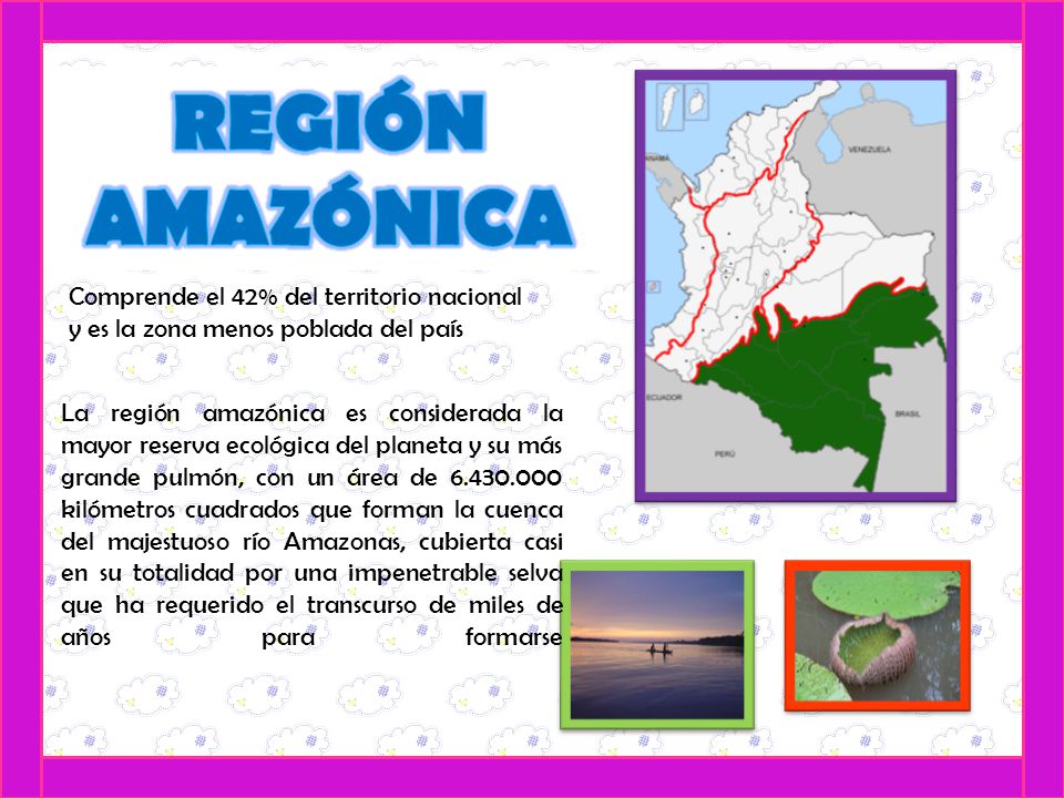 REGIÓN AMAZÓNICA Comprende el 42% del territorio nacional y es la zona menos poblada del país.
