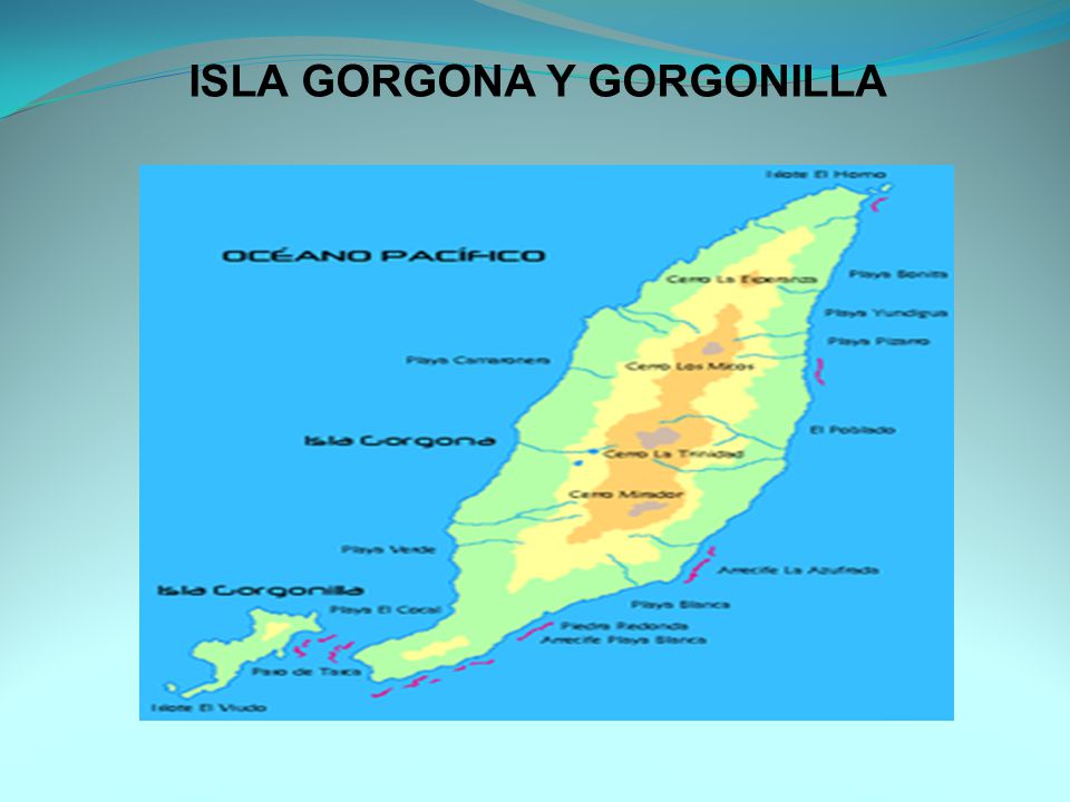 ISLA GORGONA Y GORGONILLA