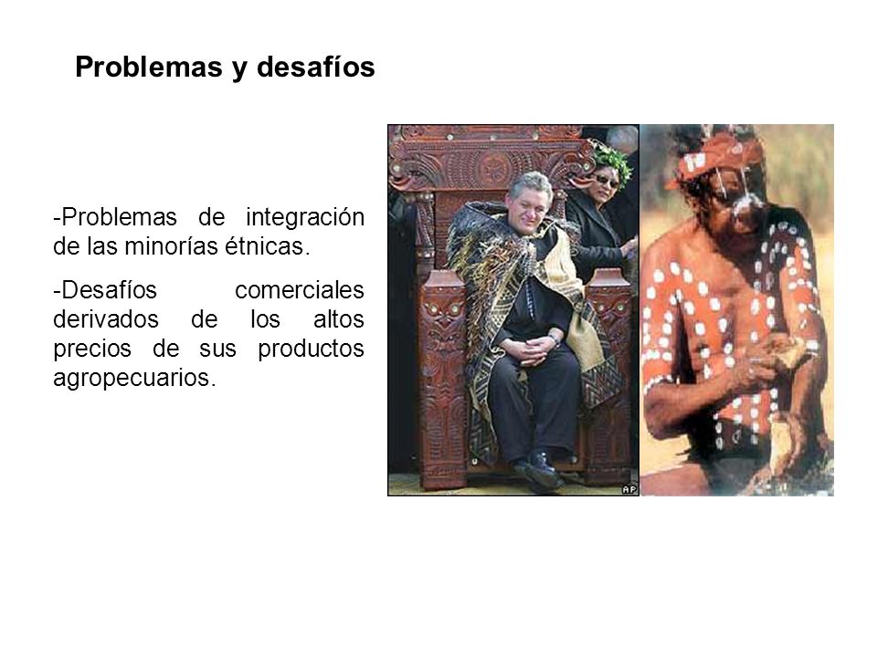 Problemas y desafíos Problemas de integración de las minorías étnicas.