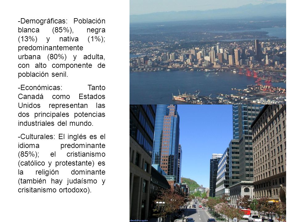 Demográficas: Población blanca (85%), negra (13%) y nativa (1%); predominantemente urbana (80%) y adulta, con alto componente de población senil.
