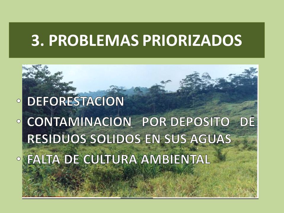 3. PROBLEMAS PRIORIZADOS